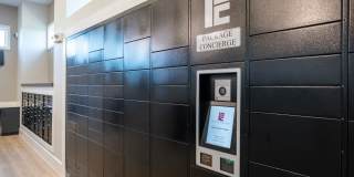 Allora New Forest Gallery 14