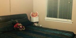 East El Paso 2 bed/1.5 Bath 1 car garage East El Paso 2 bed/1.5 Bath 1 car garage Gallery 10