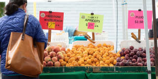 Star Harbor Gallery 29