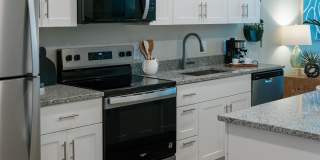 Isla Palmetto Gallery 38