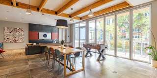 Zig Apartments Gallery 26