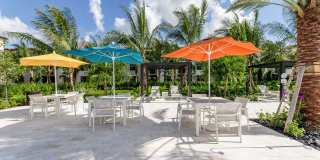 Mosaic Palms Gallery 28