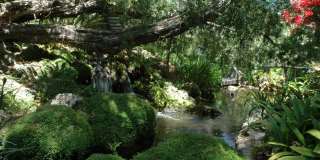 The Aspen South Coast Gallery 28