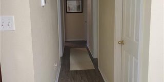 937 Crepe Myrtle Street Gallery 2