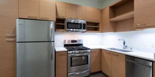 The Wilson Gallery 25