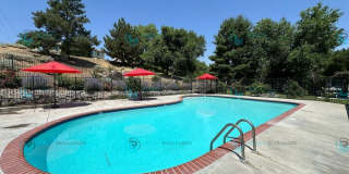 3901 Clear Acre Lane Gallery 15