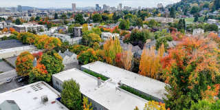 Forestry Court Gallery 26