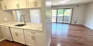 1502 THE WOODS Gallery 13