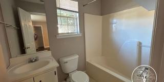MOVE IN SPECIAL: $500 OFF 1ST MONTH'S RENT!** MOVE IN SPECIAL: $500 OFF 1ST MONTH'S RENT!** Gallery 13