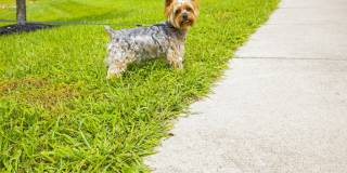 Orchard Hills Apartments Gallery 15