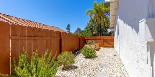 3 Bed 2 Bath House in Scripps Ranch Gallery 18
