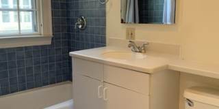 41 Linnaean Street Gallery 12