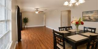 1/1 Lakefront Living in Carrollwood! Available July 10th! Gallery 5