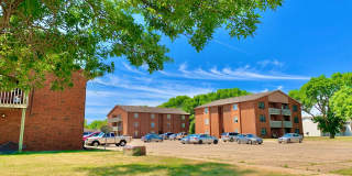 Pine Tree Flats Gallery 35