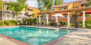 Peppertree Apartments Gallery 5