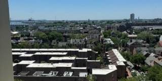 220-00 LOCUST STREET Gallery 14