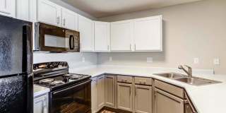 Zen Chaska Zen Chaska Gallery 16