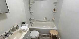 Lovely 2 Bedroom 1 Bathroom now available for rent Gallery 7