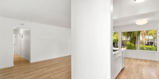 Avenue 55 Gallery 5