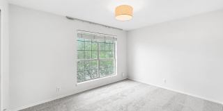 15015 Northern Dancer Gallery 17