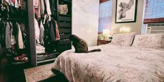 Gorgeous 2-Bed Townhome in Pennsport! Available NOW! Gallery 11