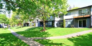 Tessera Apartments Gallery 5