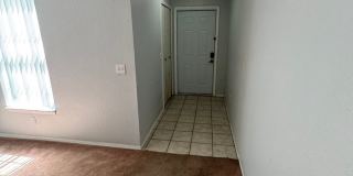 First 2 weeks free offer Gallery 12