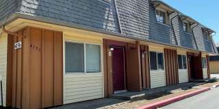 Catalina Apartments Gallery 1