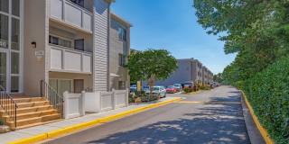 The Oliver in Alexandria Gallery 5