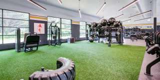 Axis 201 Axis 201 Gallery 6