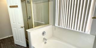 1329 East Cathedral Rock Drive Gallery 15