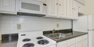 Tivoli Gardens Gallery 16