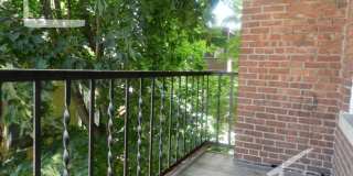 34 Quint Ave #21U Boston MA 02134 34 Quint Ave #21U Boston MA 02134 Gallery 10