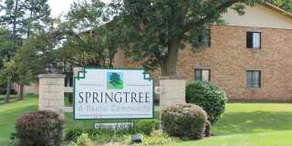 Springtree Gallery 20