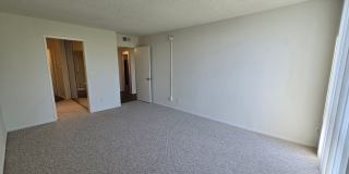Hillside Terrace Gallery 116