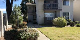 417 Tyler Pl unit B 417 Tyler Pl unit B Gallery 1