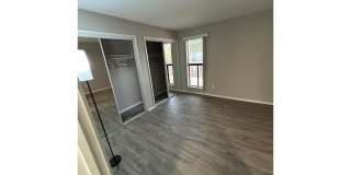 Bellevue Towers Gallery 56