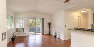 Pool Community and Pet Friendly Home Gallery 5