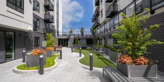Aspire 11 Gallery 25