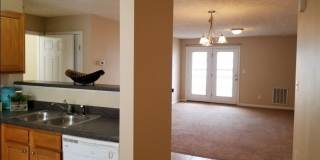 1514 Aristo Place Gallery 6