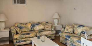 223 WASHINGTON PALM LOOP Gallery 3