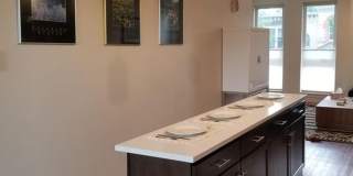 Modern 3-Bedroom Curtis Park Townhome Steps from RiNo & Larimer Street Gallery 50