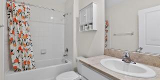 34211 JASPER STONE DRIVE Gallery 15