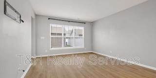 156 Haugh Street Gallery 15