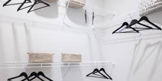 Prose Evergreen Gallery 6