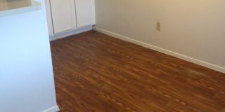 Forest Ridge Gallery 16