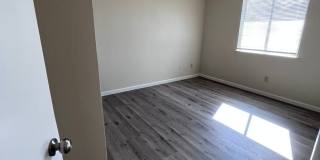 No Deposit Gallery 13