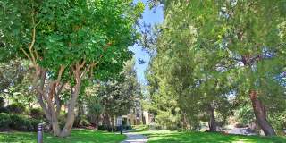 Alta Vista Gallery 15