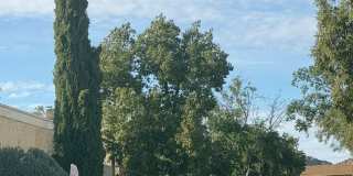 2 Bedroom 2 bath private enclosed yard for Gallery 4