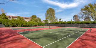 Sterling Park Gallery 4